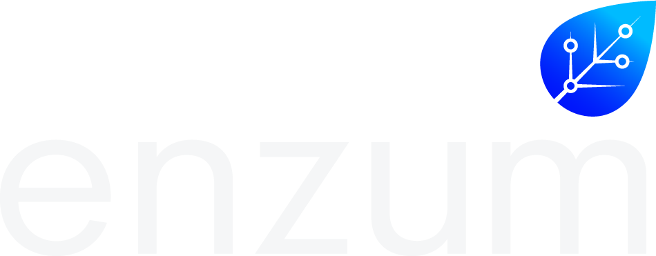 Enzum Logo