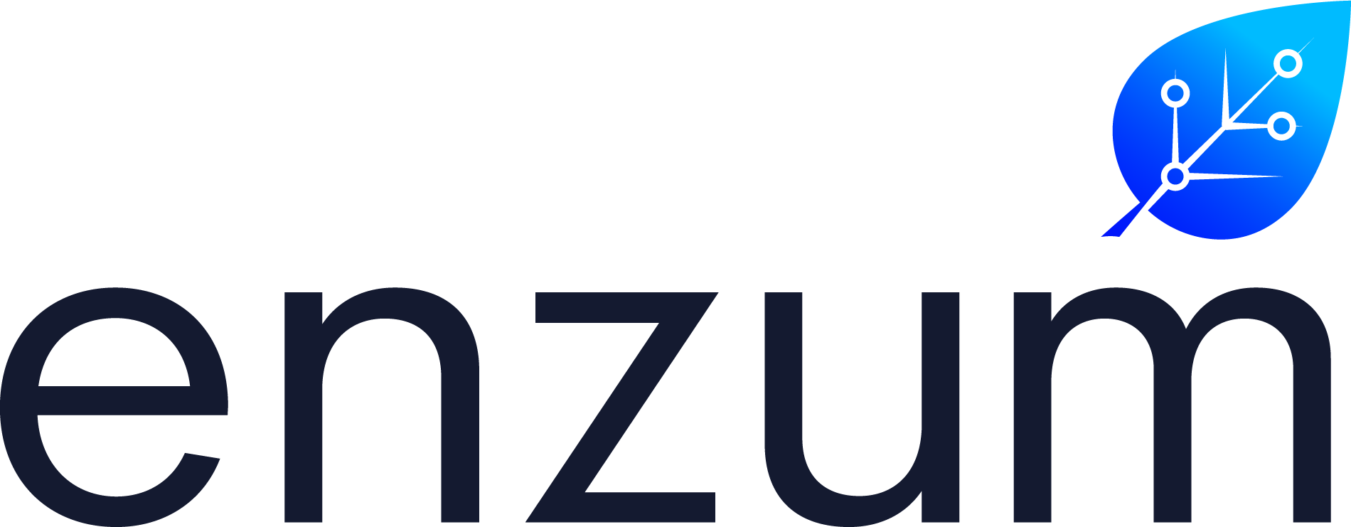 Enzum Logo